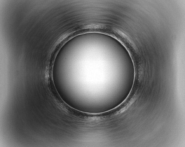 X0000094381017200711021222