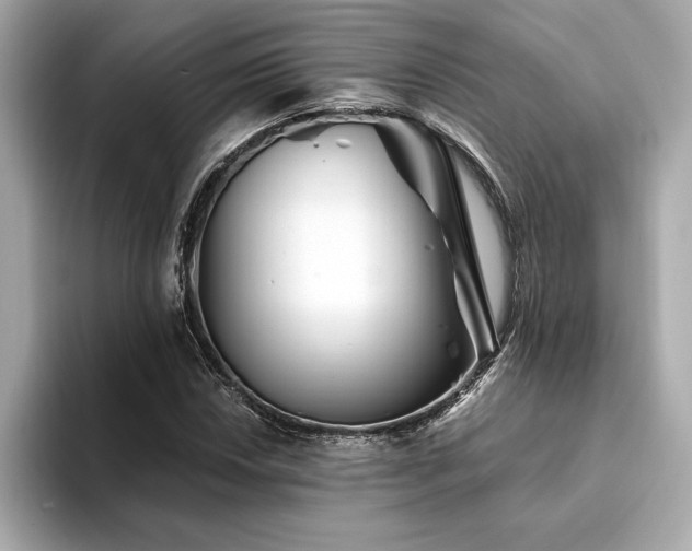 X0000094381018200711021222