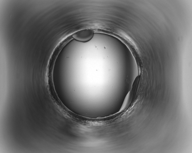 X0000094381020200711021222
