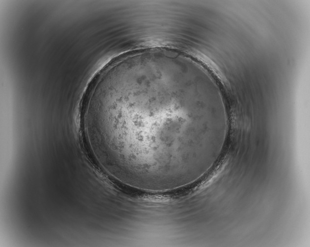 X0000094381023200711021222