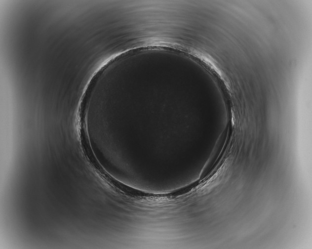 X0000094381024200711021222
