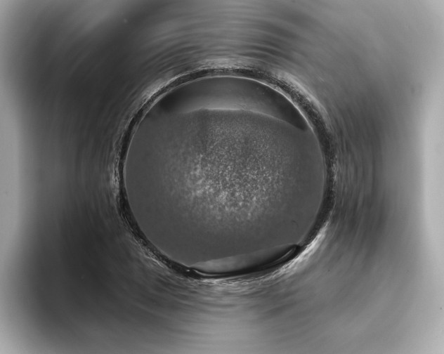 X0000094381025200711021222