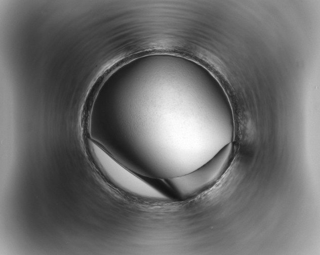 X0000094381026200711021222