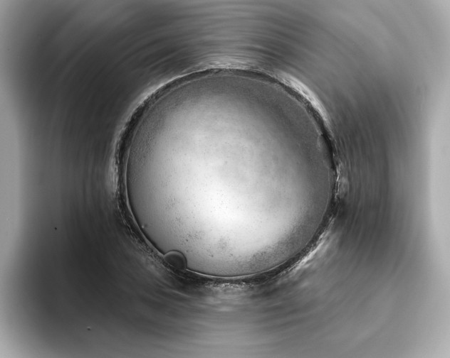 X0000094381027200711021222