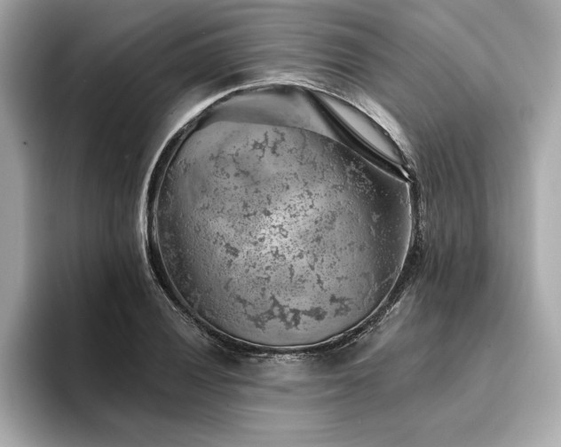 X0000094381028200711021222