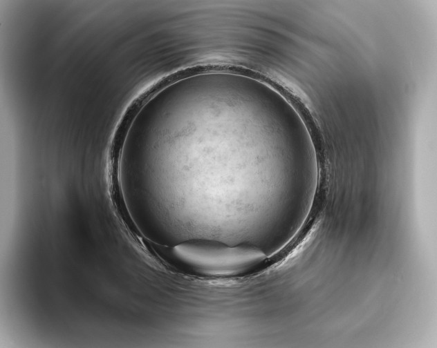X0000094381029200711021222