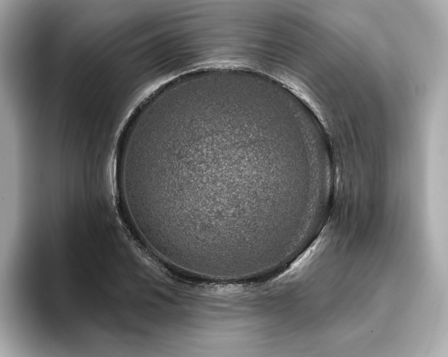 X0000094381030200711021222