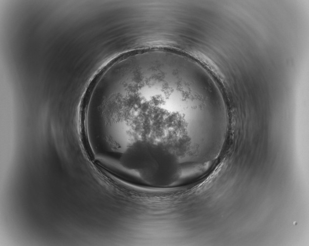 X0000094381031200711021222