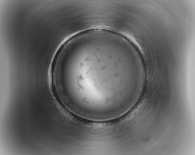 X0000094381032200711021222