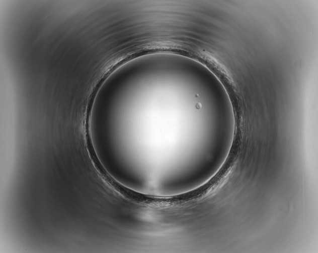 X0000094381033200711021222