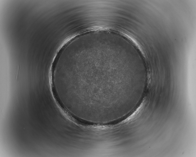 X0000094381034200711021222