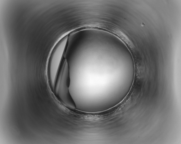 X0000094381036200711021222