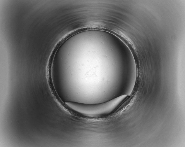 X0000094381037200711021222