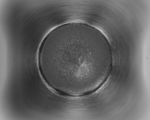 X0000094381038200711021222