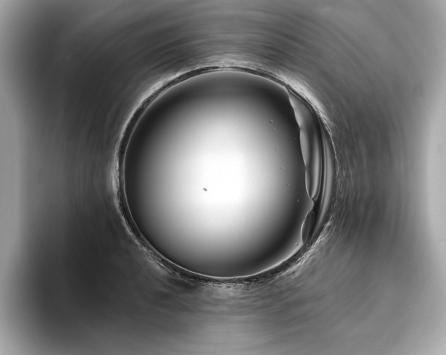 X0000094381040200711021222