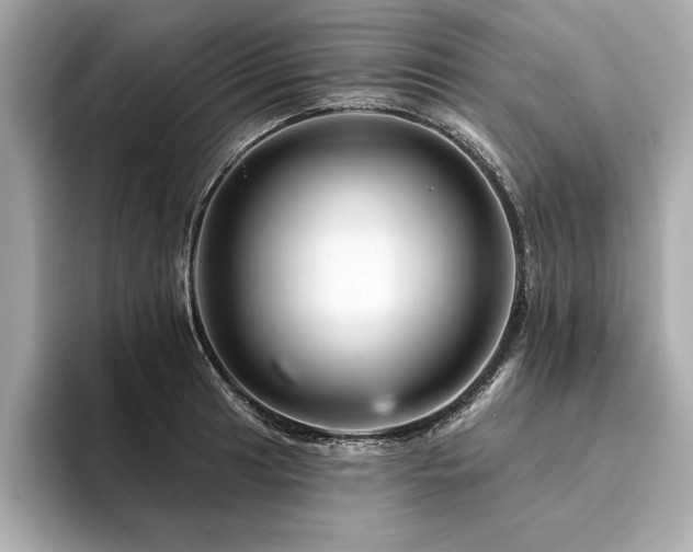X0000094381041200711021222