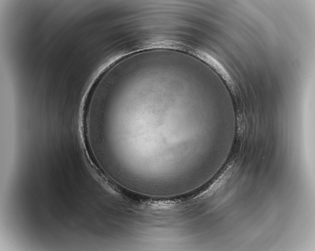 X0000094381043200711021222