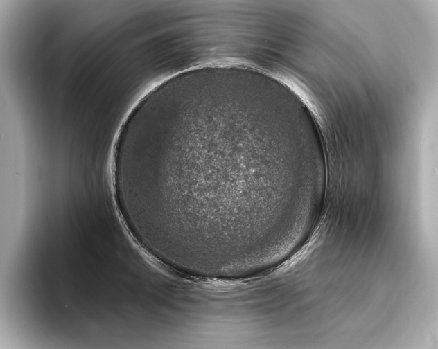 X0000094381046200711021222