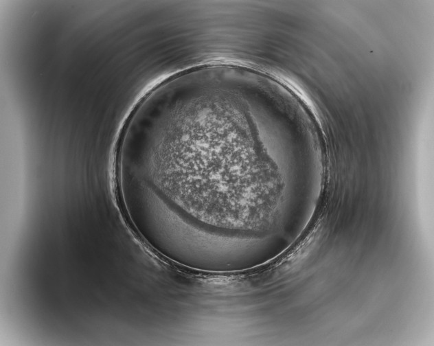 X0000094381048200711021222