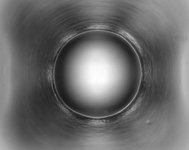 X0000094381049200711021222