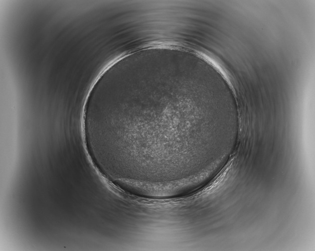 X0000094381050200711021222