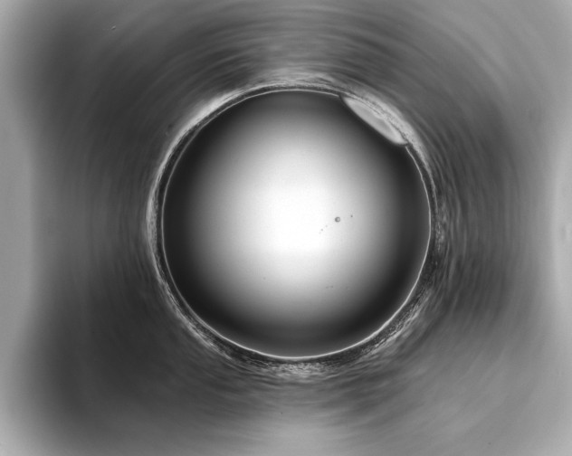 X0000094381053200711021222