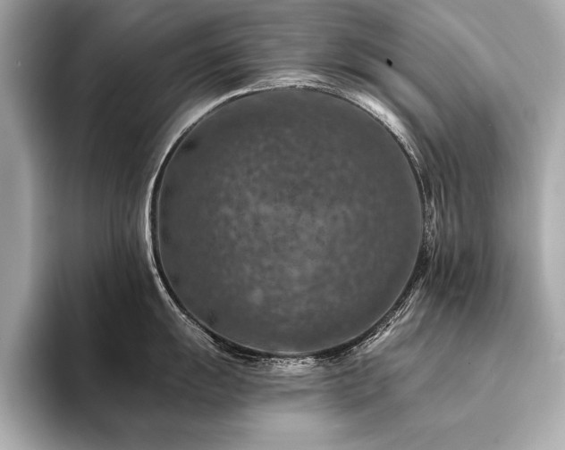 X0000094381055200711021222