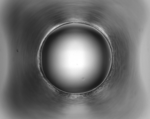 X0000094381056200711021222