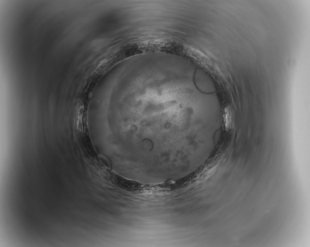 X0000094381059200711021222