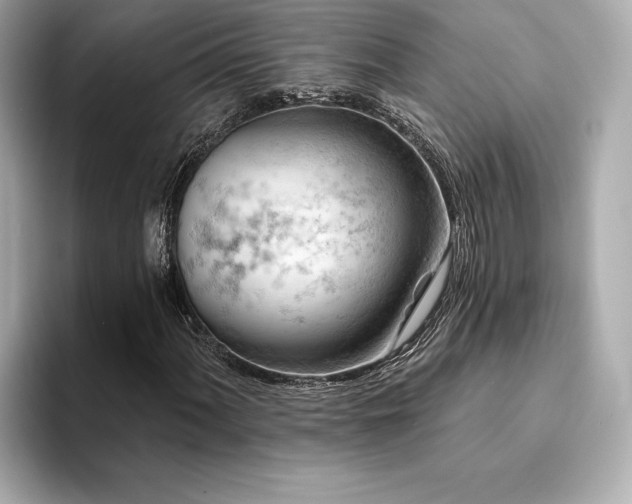 X0000094381060200711021222