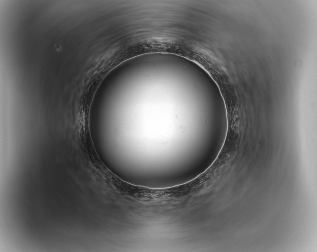 X0000094381061200711021222