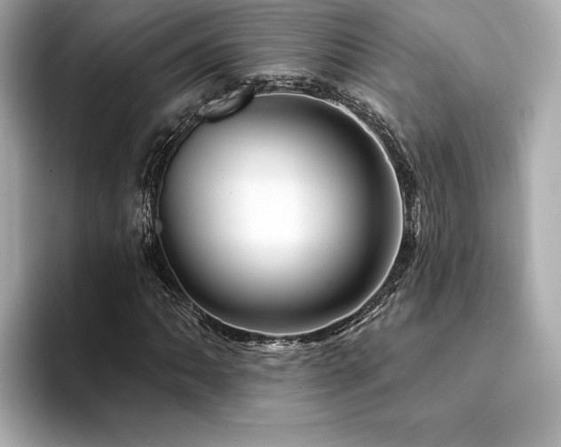X0000094381062200711021222
