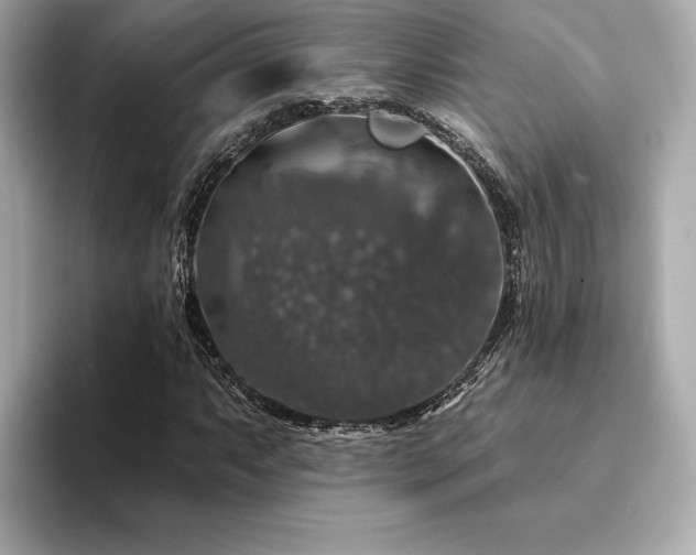 X0000094381063200711021222