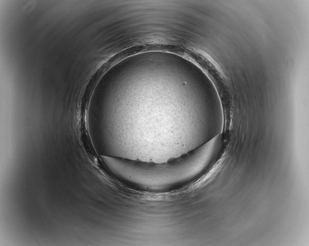 X0000094381065200711021222