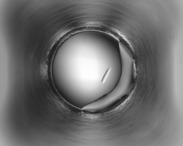 X0000094381066200711021222
