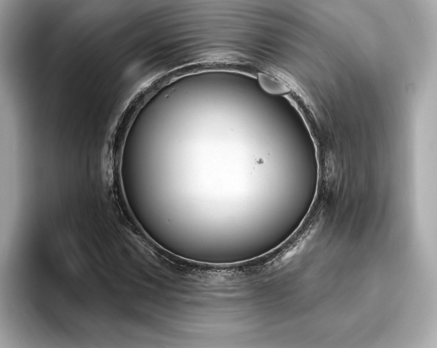 X0000094381067200711021222