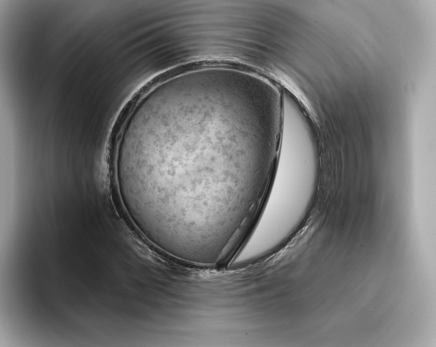 X0000094381068200711021222