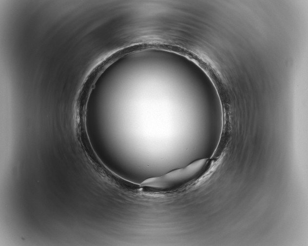 X0000094381070200711021222
