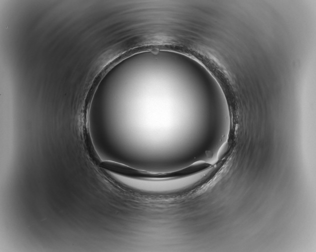 X0000094381073200711021222
