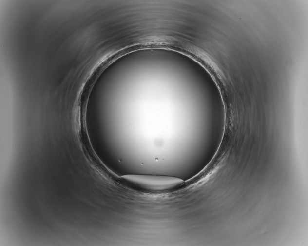 X0000094381075200711021222