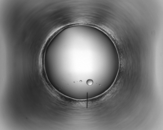 X0000094381078200711021222