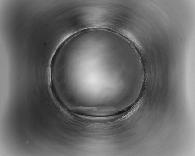 X0000094381079200711021222