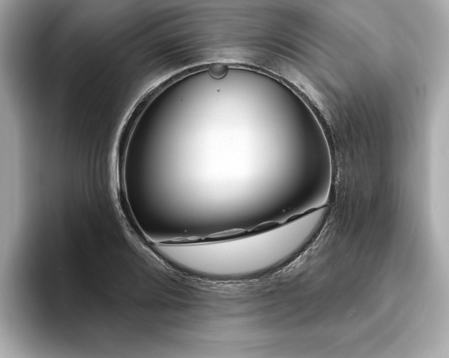 X0000094381080200711021222