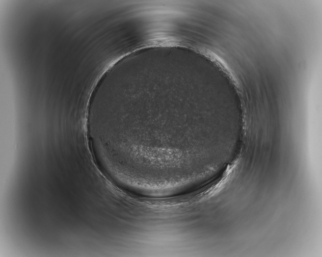 X0000094381081200711021222