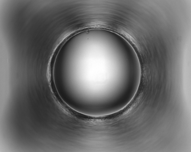 X0000094381082200711021222