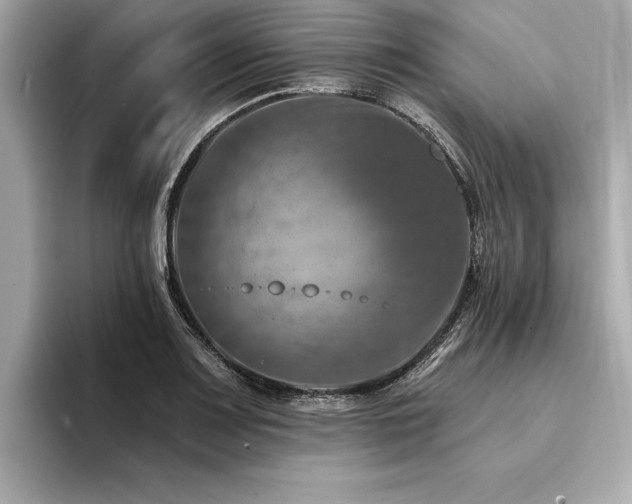 X0000094381083200711021222