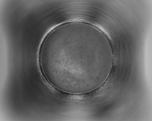 X0000094381086200711021222