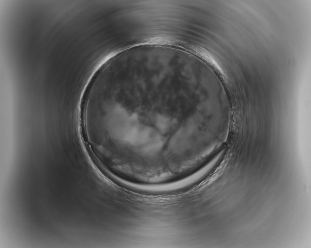 X0000094381087200711021222