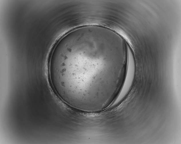 X0000094381088200711021222