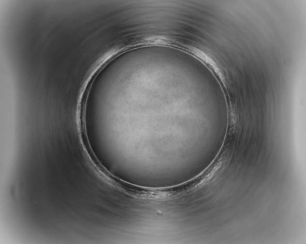 X0000094381090200711021222